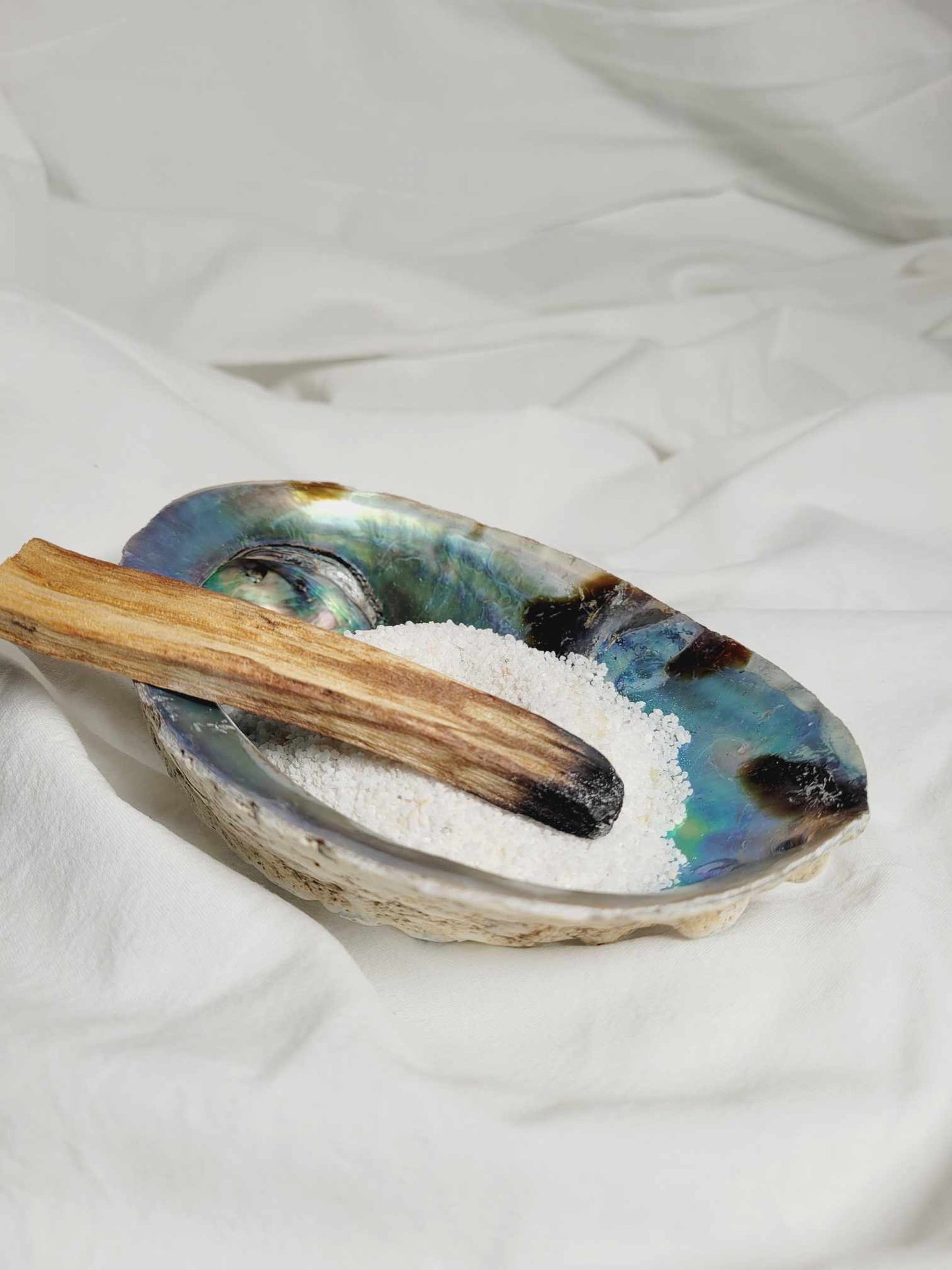 Abalone shell & Palo Santo