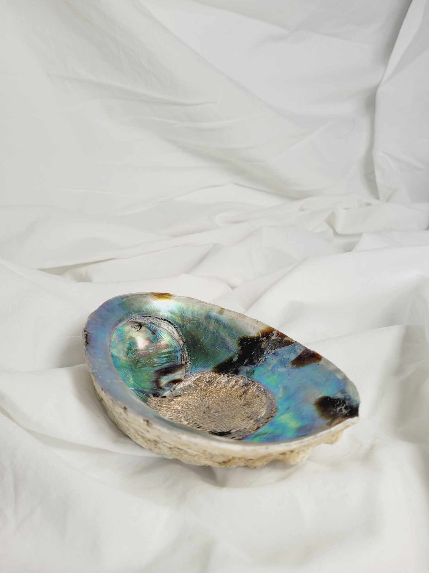 Abalone shell & Palo Santo